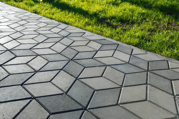 Best Driveway Paving Contractor  in Bushnell, FL