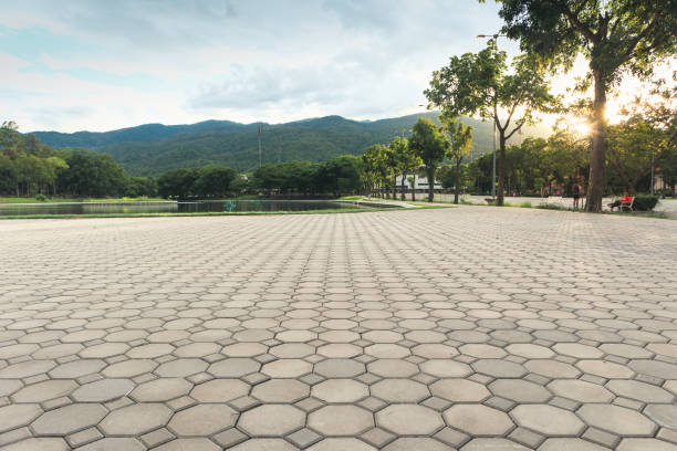 Best Driveway Repair Near Me  in Bushnell, FL
